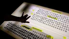 Maj mesec matematike